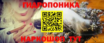 соль ск Можга