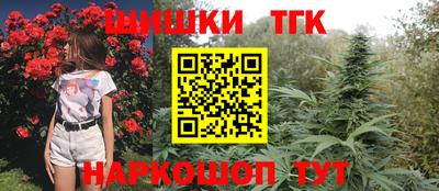 соль ск Можга