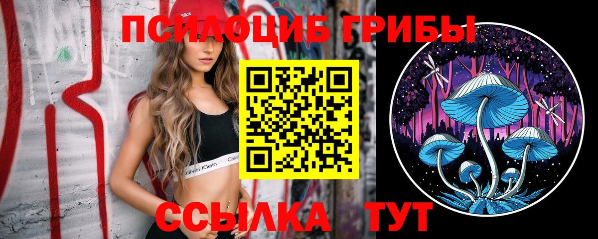 Чебоксары  Галлюциногенные грибы Magic Shrooms  Вход с VPN 